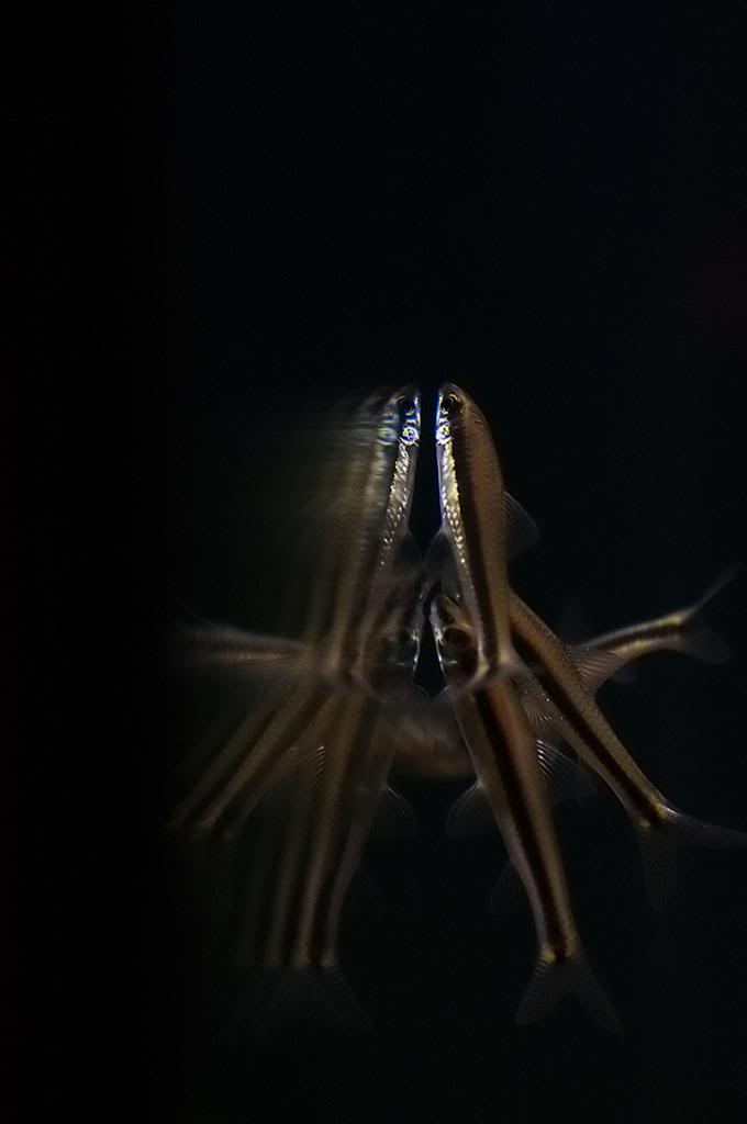 DSC_8961.jpg