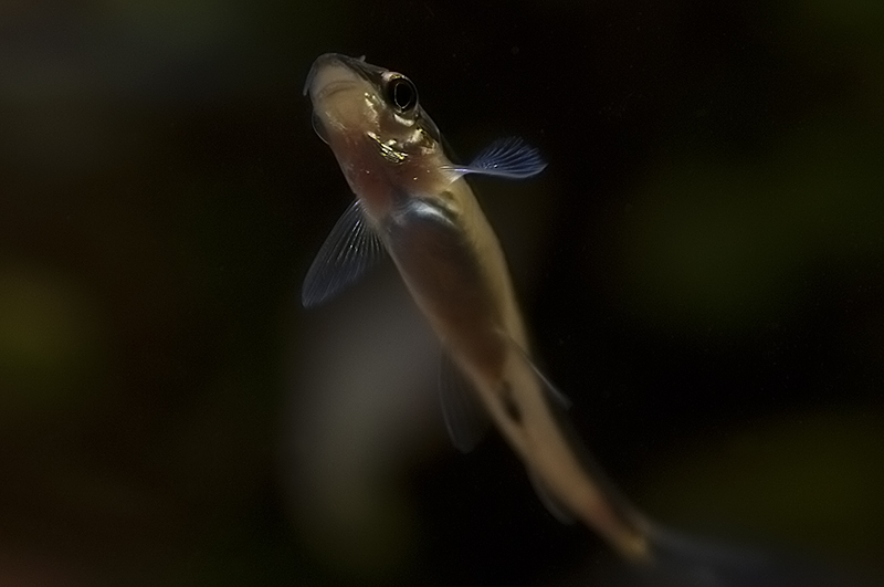 DSC_9064.jpg