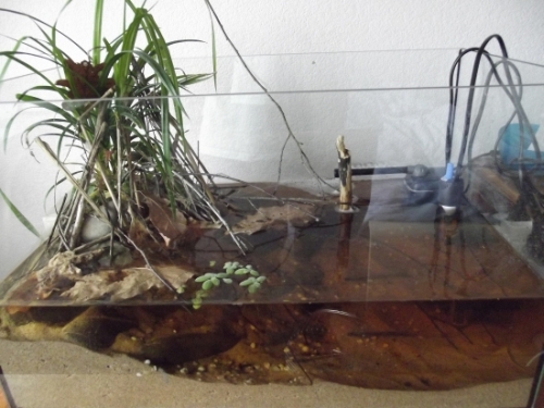 dscf2078.jpg