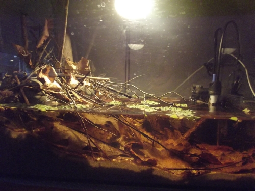 dscf2398.jpg