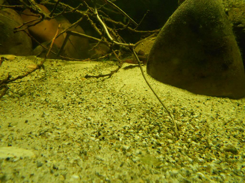DSCN2532_zpsa512bb97.jpg