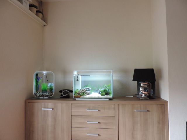 DSCN5120.jpg
