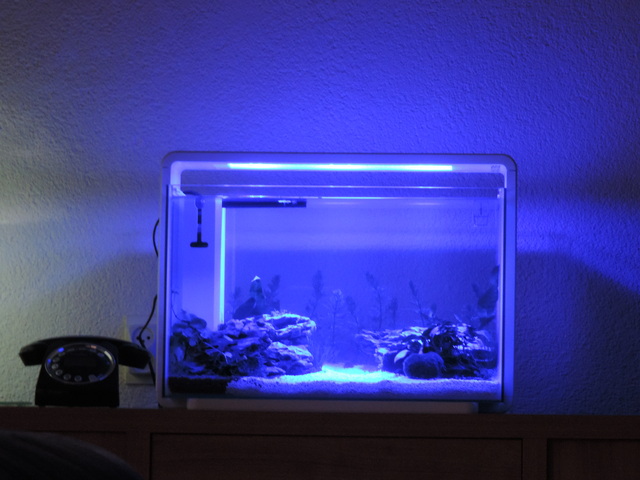 DSCN5144.jpg