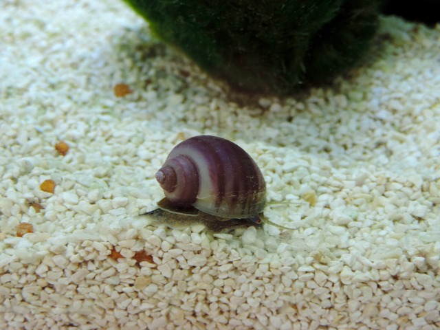 DSCN5169.jpg