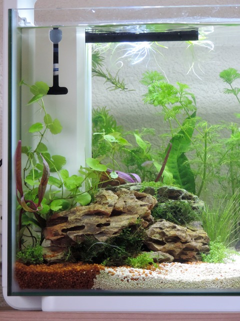 DSCN5226.jpg