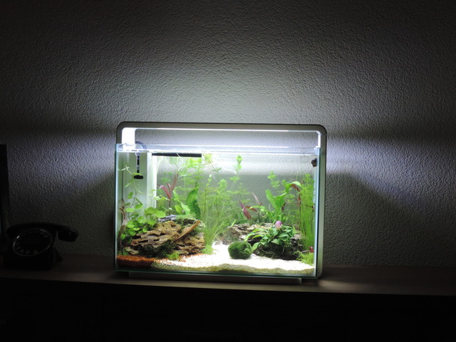 DSCN5236.jpg