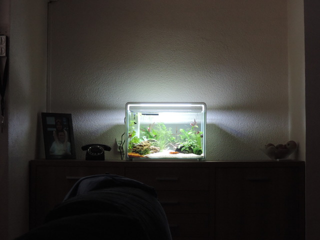 DSCN5347.jpg