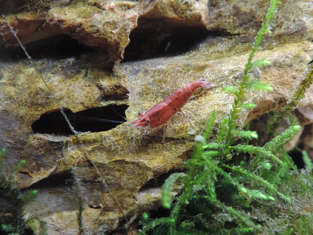 DSCN5388.jpg