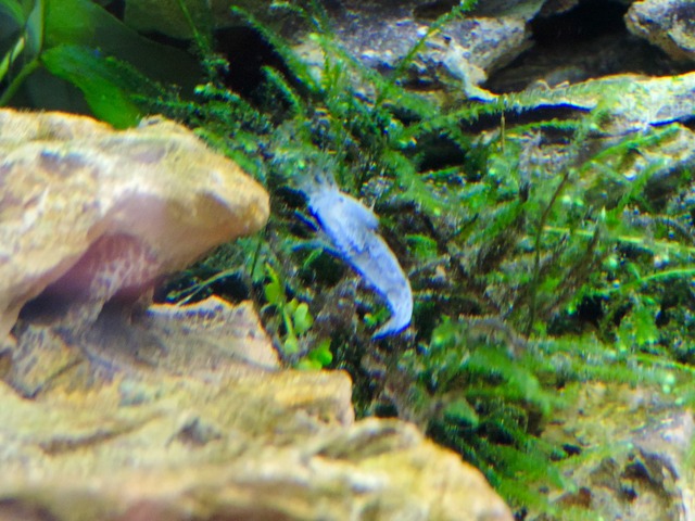 DSCN5398.jpg