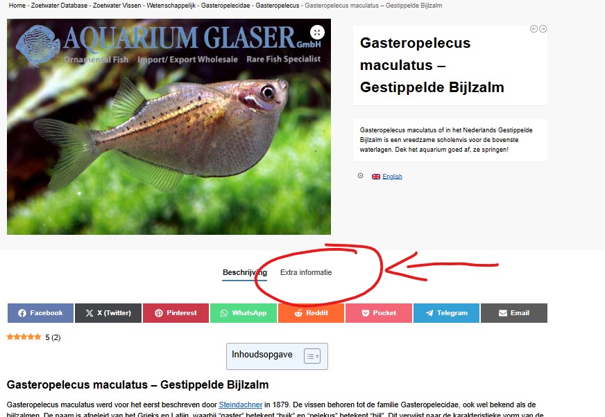 Extra informatie.jpg