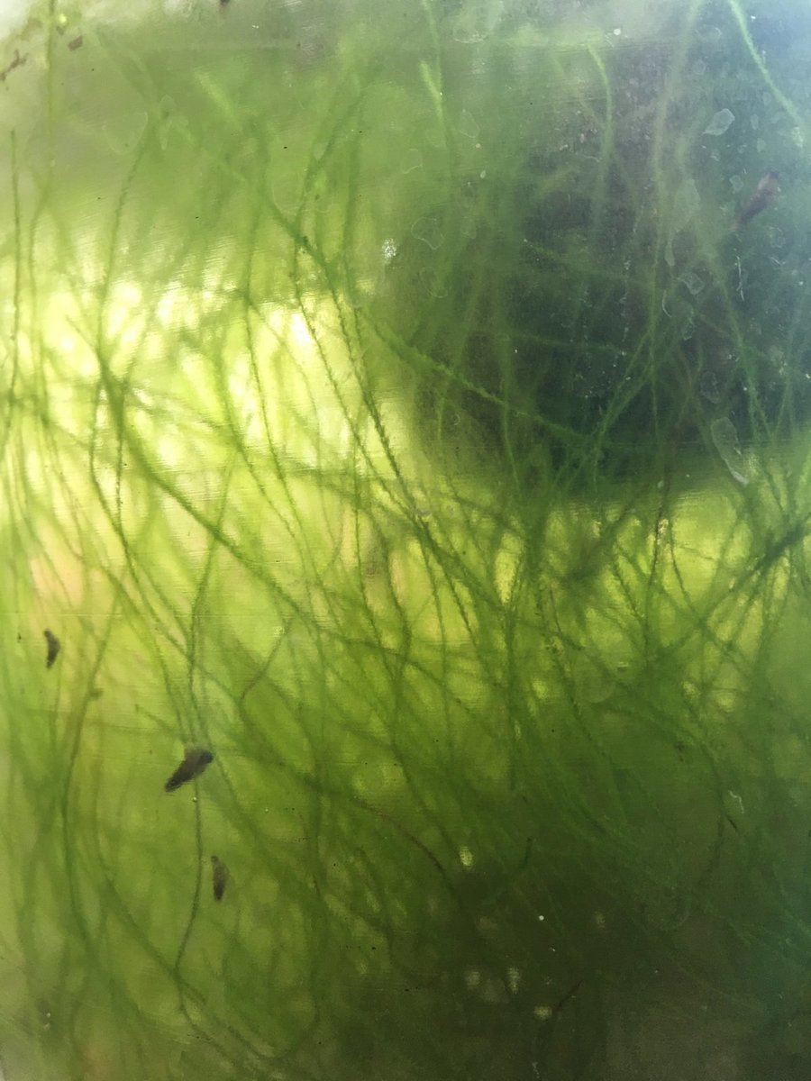 FC58FFAD-D406-4B00-857D-D90DDE900E48.jpeg