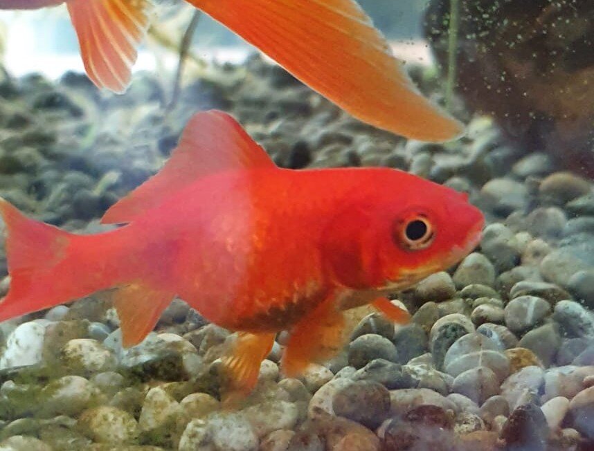 fea597b9-5fc2-41e4-82c3-689887f4c971 (2).jpg