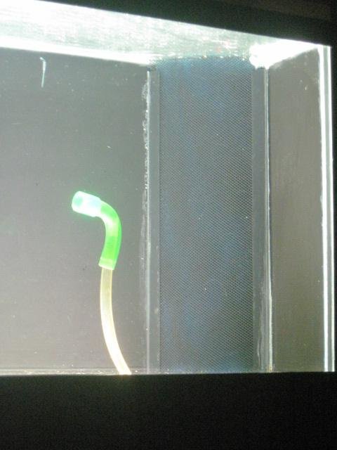 GBhiQD5Ur2BlK_ukfgglYONqYCWlQaQO.jpeg