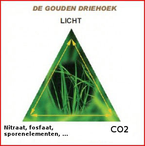 Gouden driehoek.png