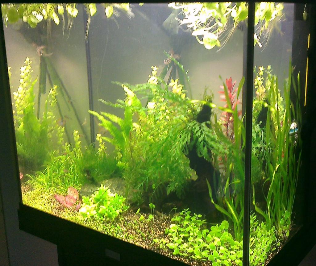 IMAG0216.jpg