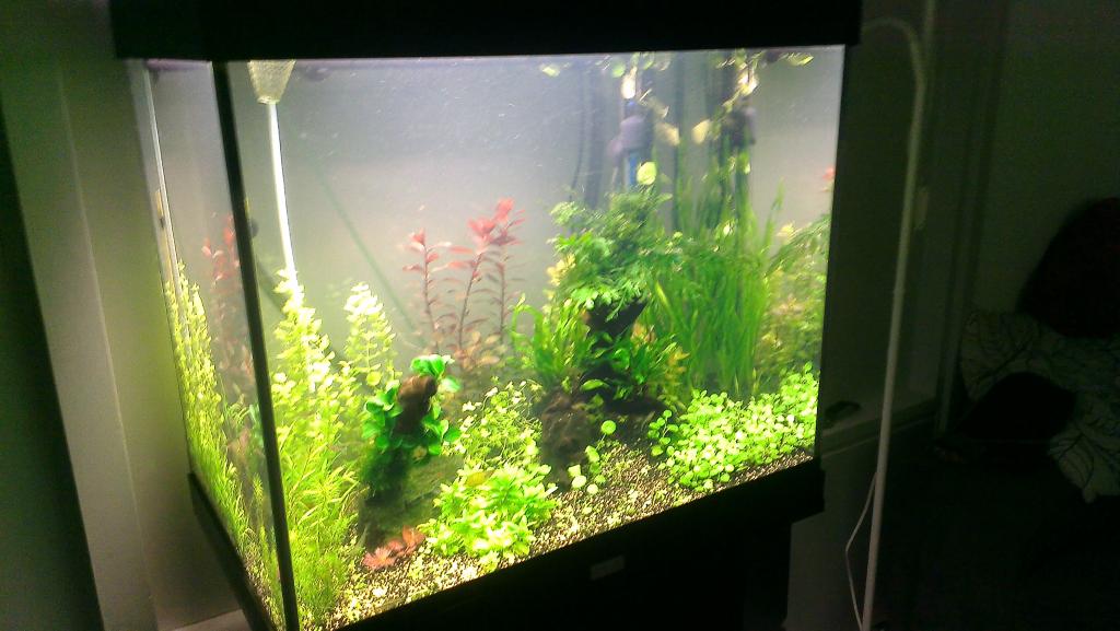 IMAG0255.jpg