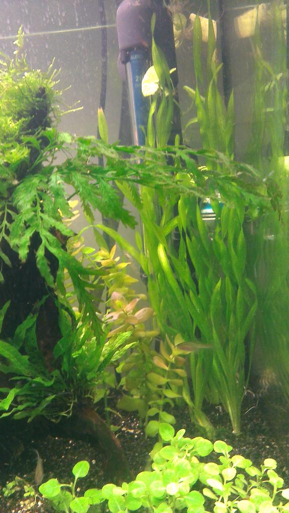IMAG0262.jpg