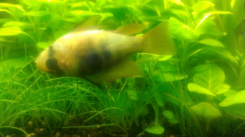 IMAG0429.jpg