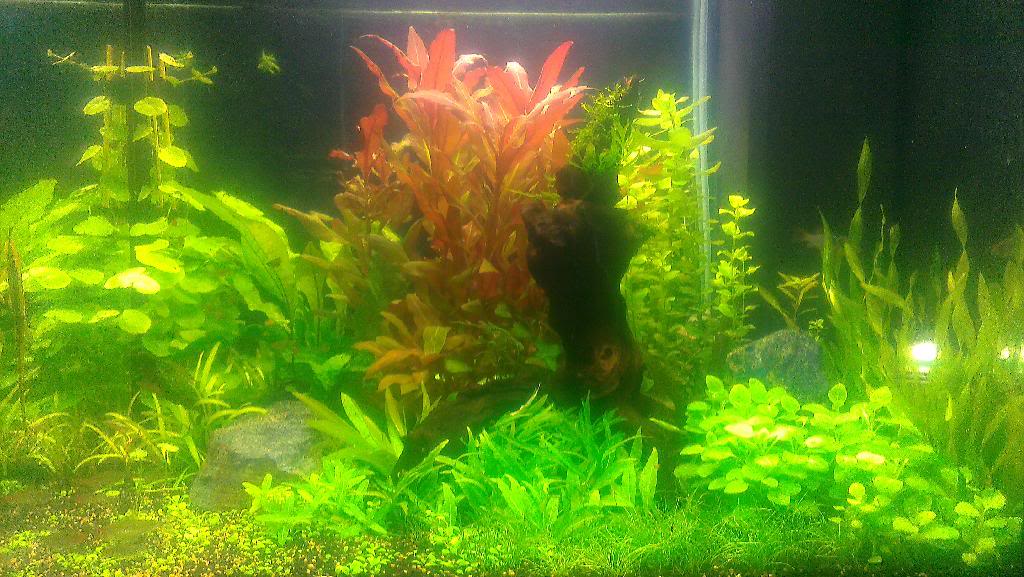 IMAG0444.jpg