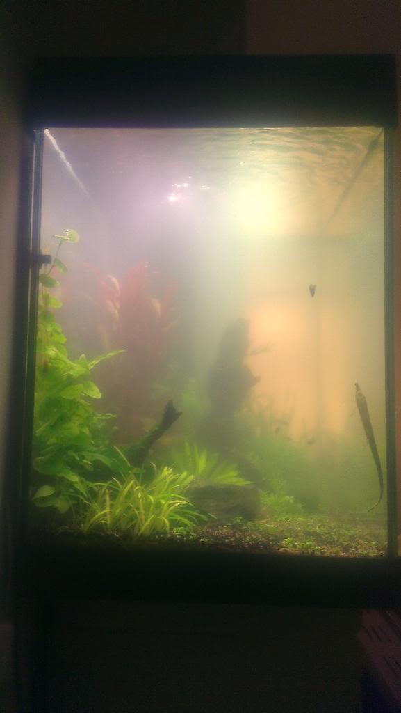 IMAG0468.jpg