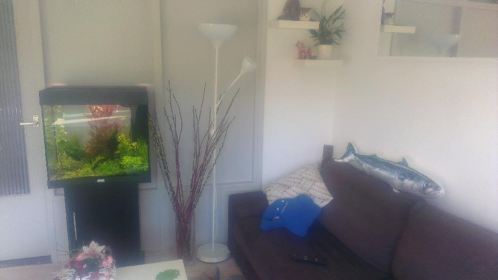 IMAG0541.jpg