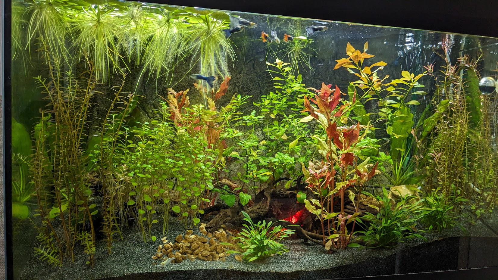image_2024-02-20_140014917.png