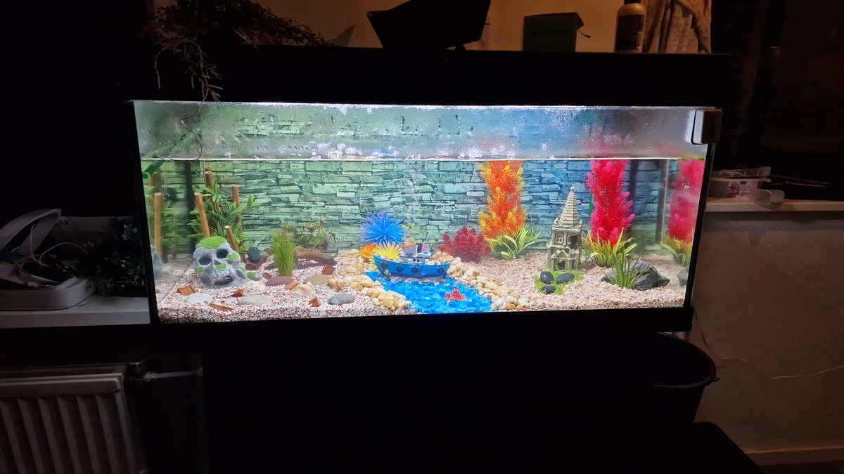 IMG-20221101-WA0005.jpeg