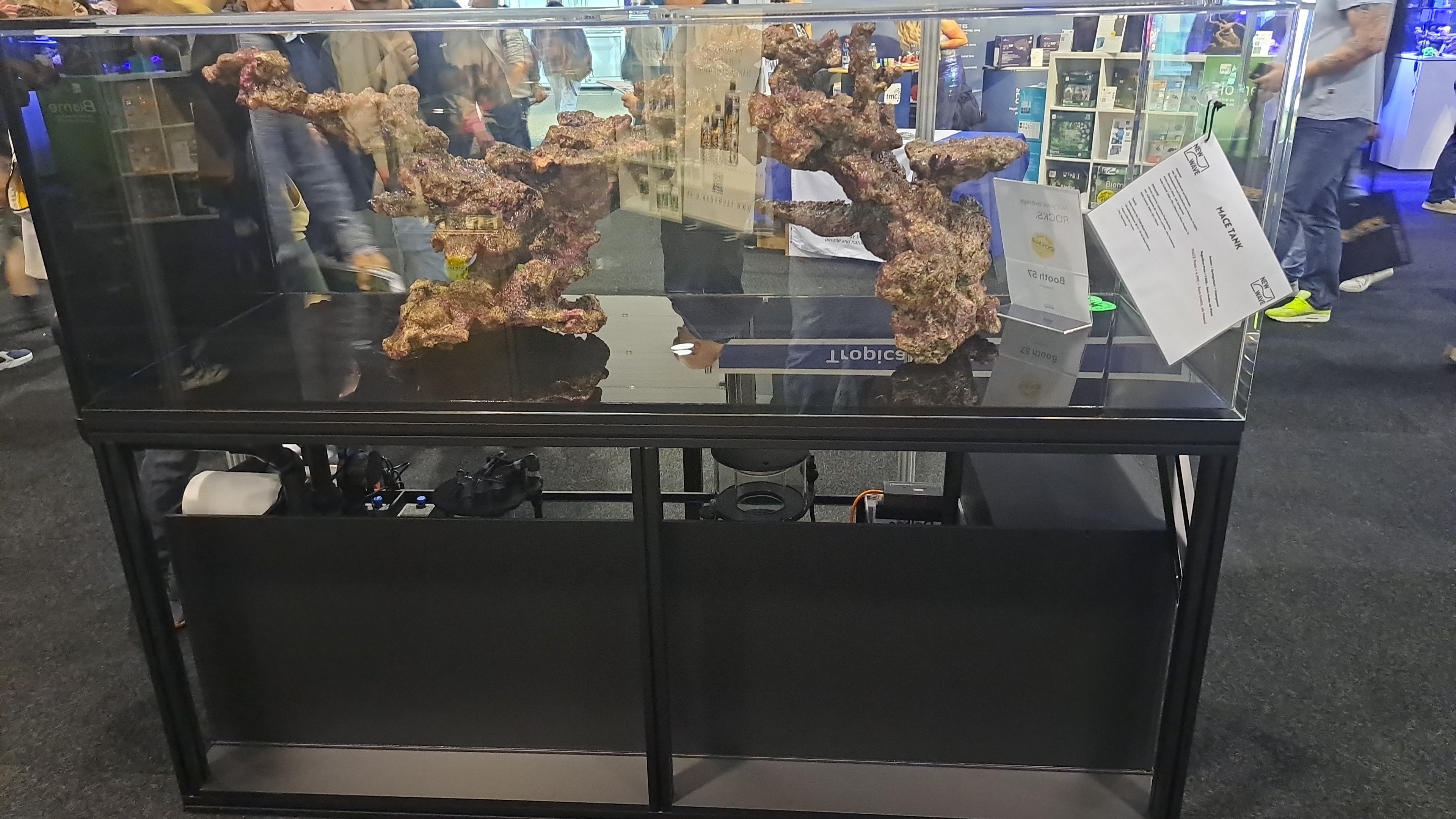 IMG-20251108-WA0014.jpeg