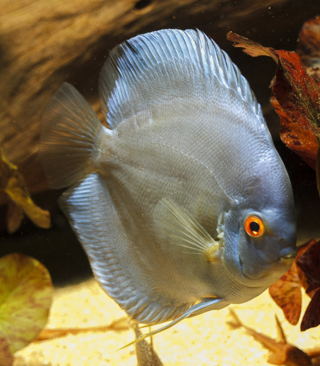 IMG_0066 bewerkt 053.jpg