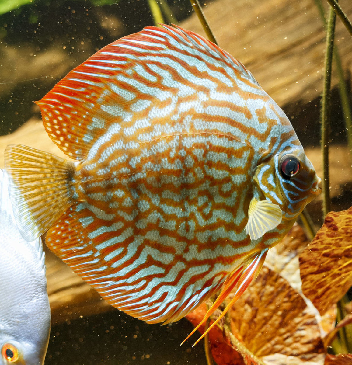 IMG_0080 bewerkt 056.jpg