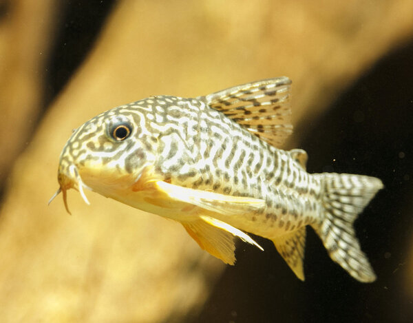 IMG_0090 bewerkt 057.jpg