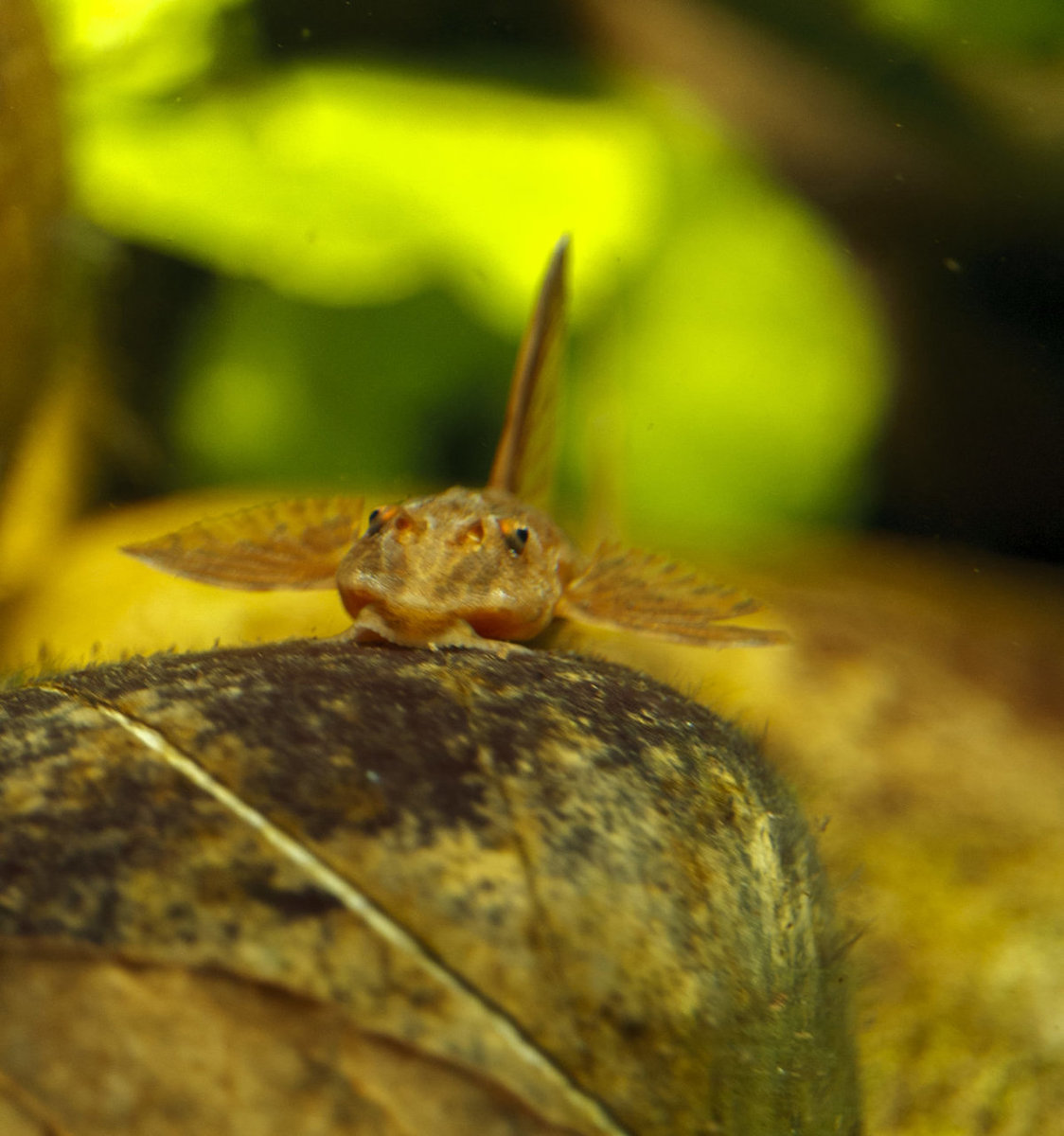 IMG_0103 bewerkt 061.jpg