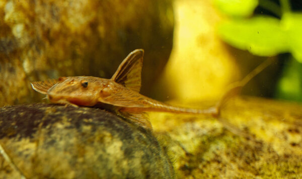 IMG_0105 bewerkt 062.jpg