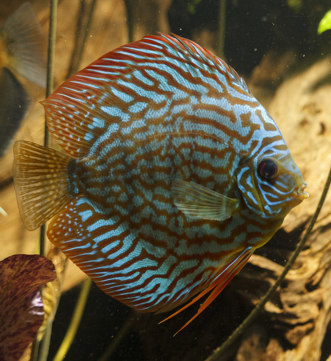 IMG_0108 bewerkt 064.jpg