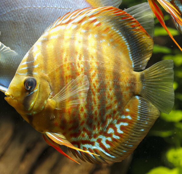 IMG_0113 bewerkt 066.jpg