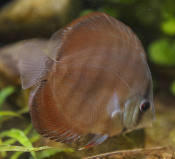 IMG_0227 bewerkt 085.jpg