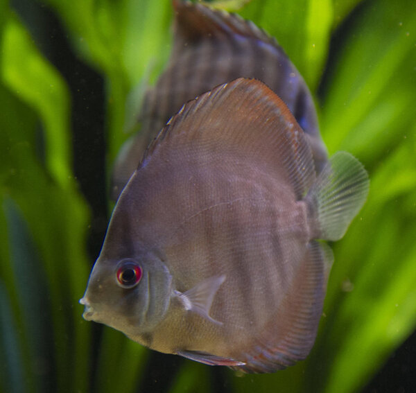 IMG_0236 bewerkt 088.jpg