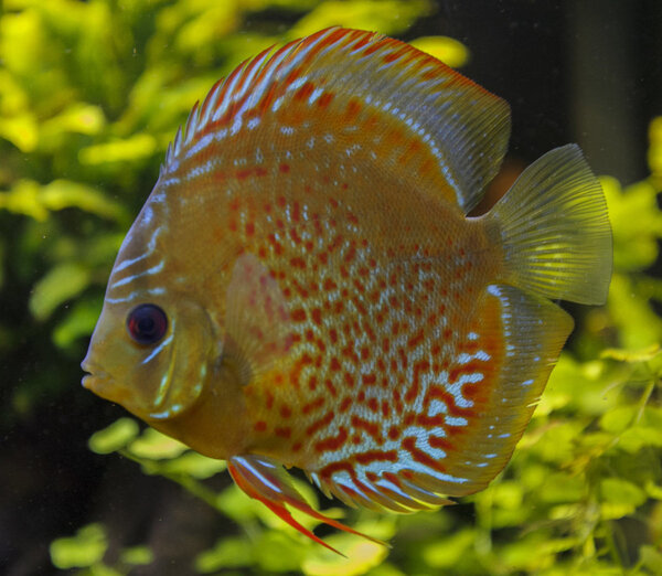 IMG_0238 bewerkt 089.jpg