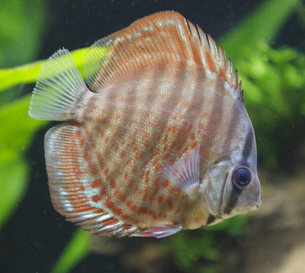 IMG_0244 bewerkt 090.jpg