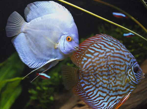 IMG_0255 bewerkt 092.jpg