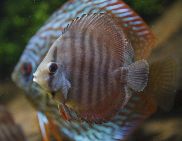 IMG_0256 bewerkt 093.jpg