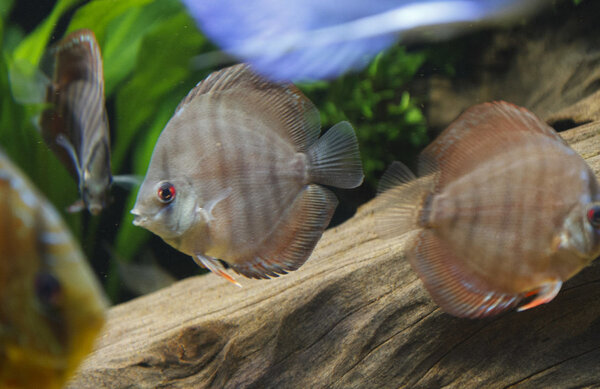 IMG_0259 bewerkt 094.jpg