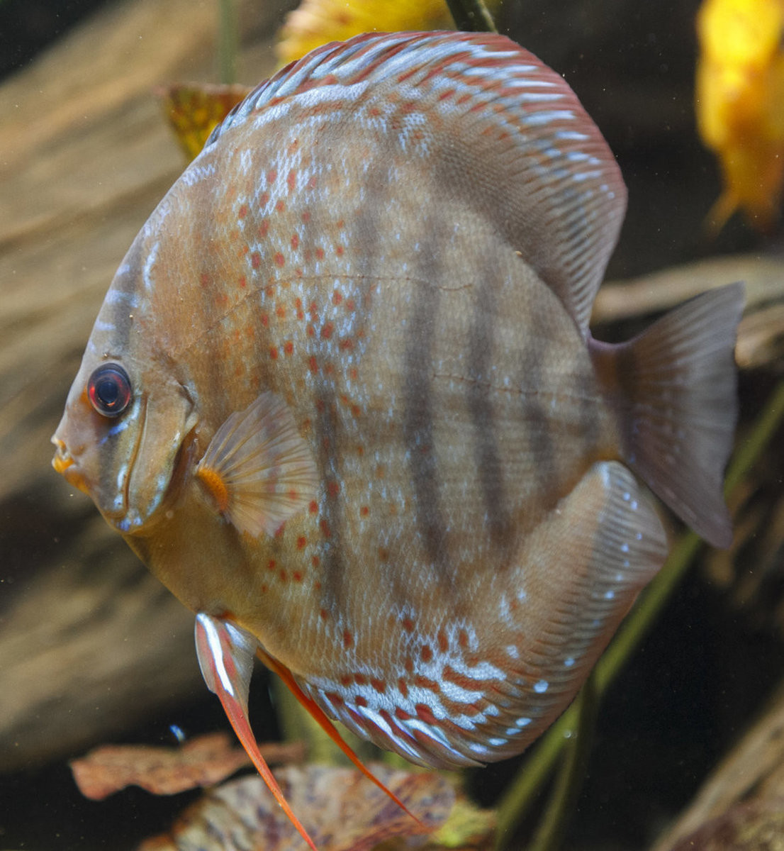 IMG_0266 bewerkt 095.jpg