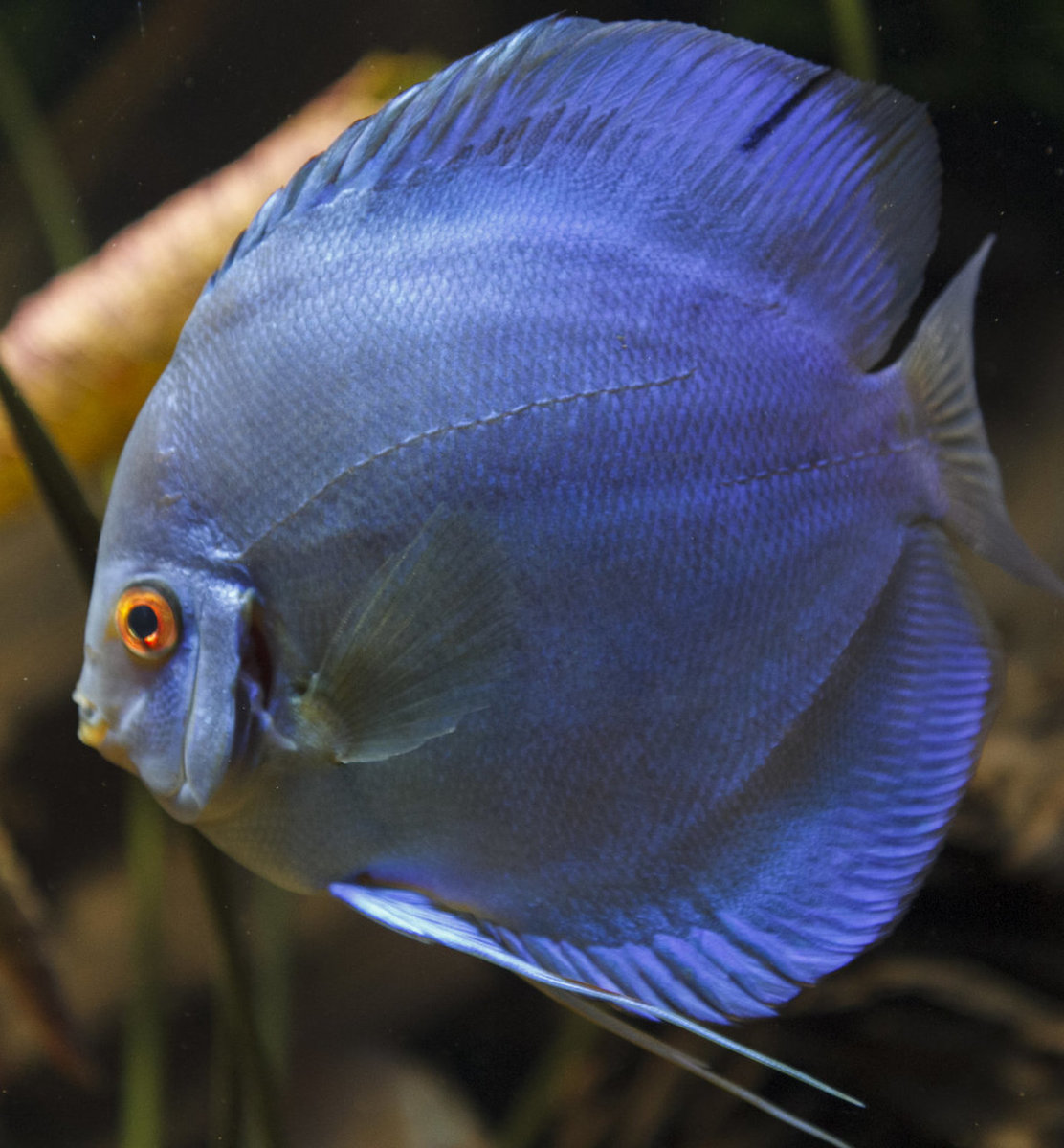 IMG_0267 bewerkt 096.jpg