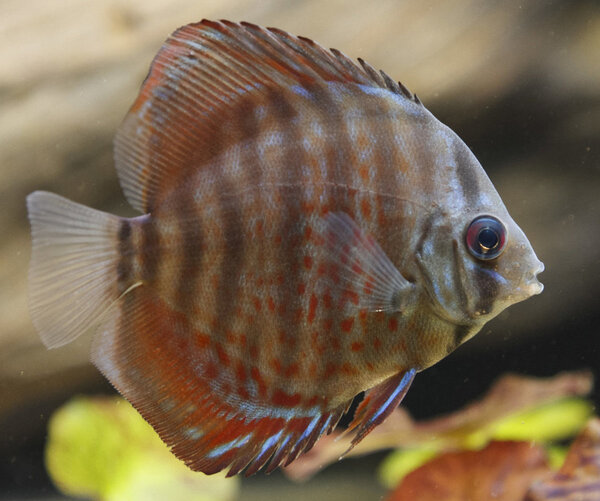 IMG_0323 bewerkt 105.jpg