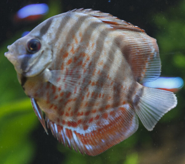 IMG_0324 bewerkt 106.jpg