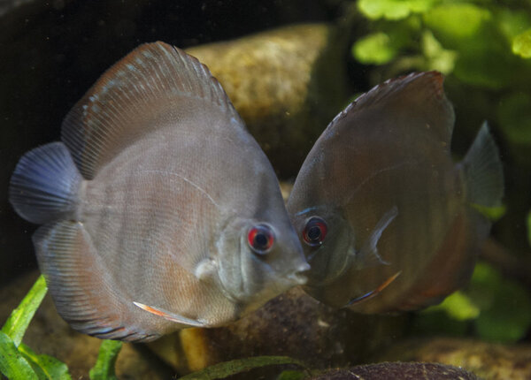 IMG_0333 bewerkt 108.jpg