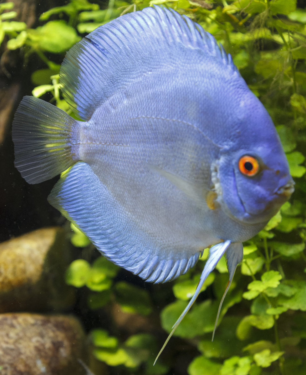 IMG_0383 bewerkt 114.jpg