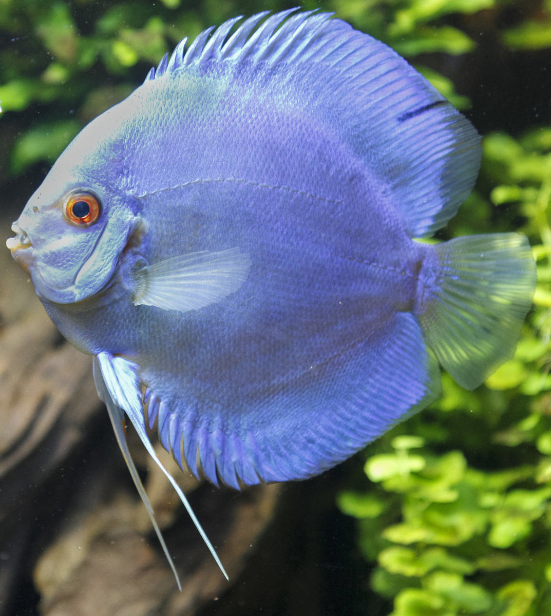 IMG_0387 bewerkt 115.jpg