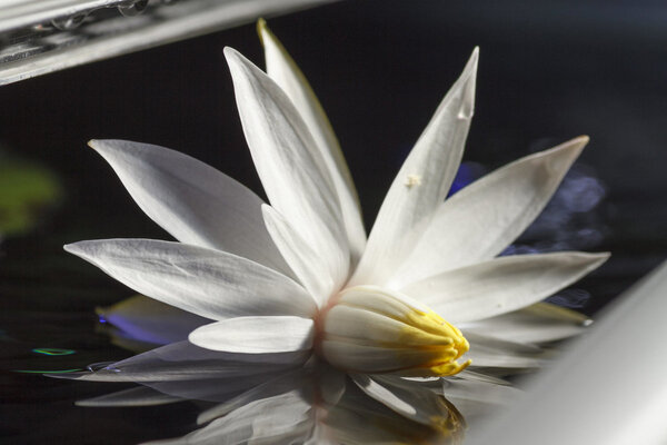 IMG_0942 bewerkt 163.jpg